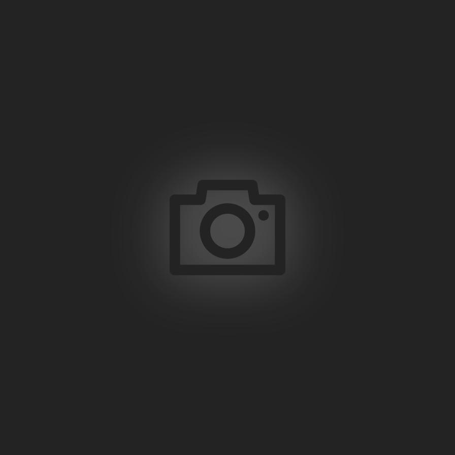 Story Filler Test (Duplicated)