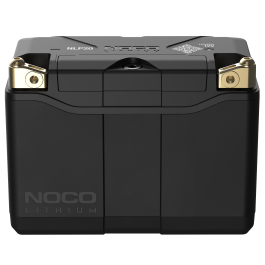 Group 20 Powersports Battery