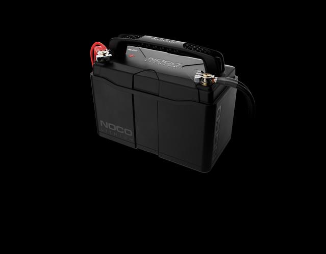 _ _nlx31 lithium batteries extreme performance_F17_XS_2x 100