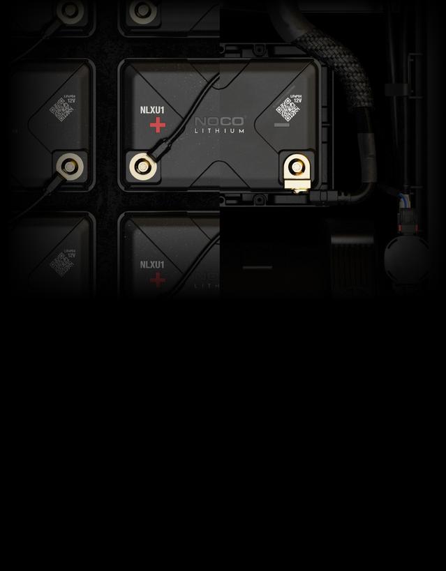 _ nlxu1 deep cycle vs starter battery dual purpose_F9B_XS_2x 100