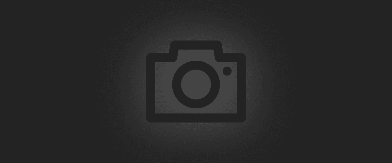 Rho navigating the winding roads of Virginia.